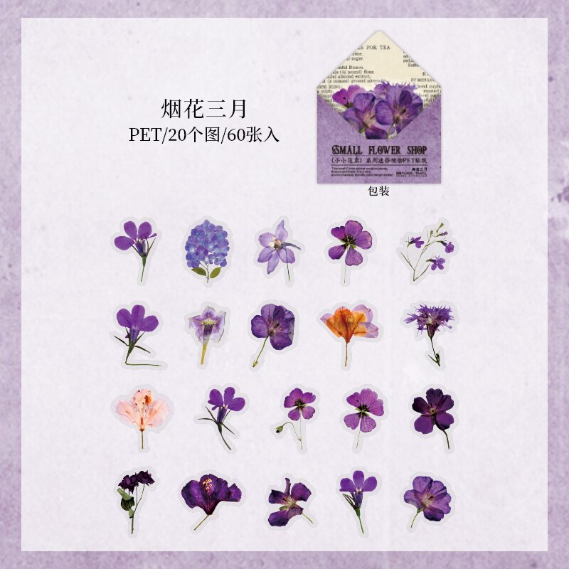 Retro Dried flower specimen PET Deco Stickers Plant Flower Leaf Transparent Bullet Journaling Accessories Aesthetic Stickers: 8