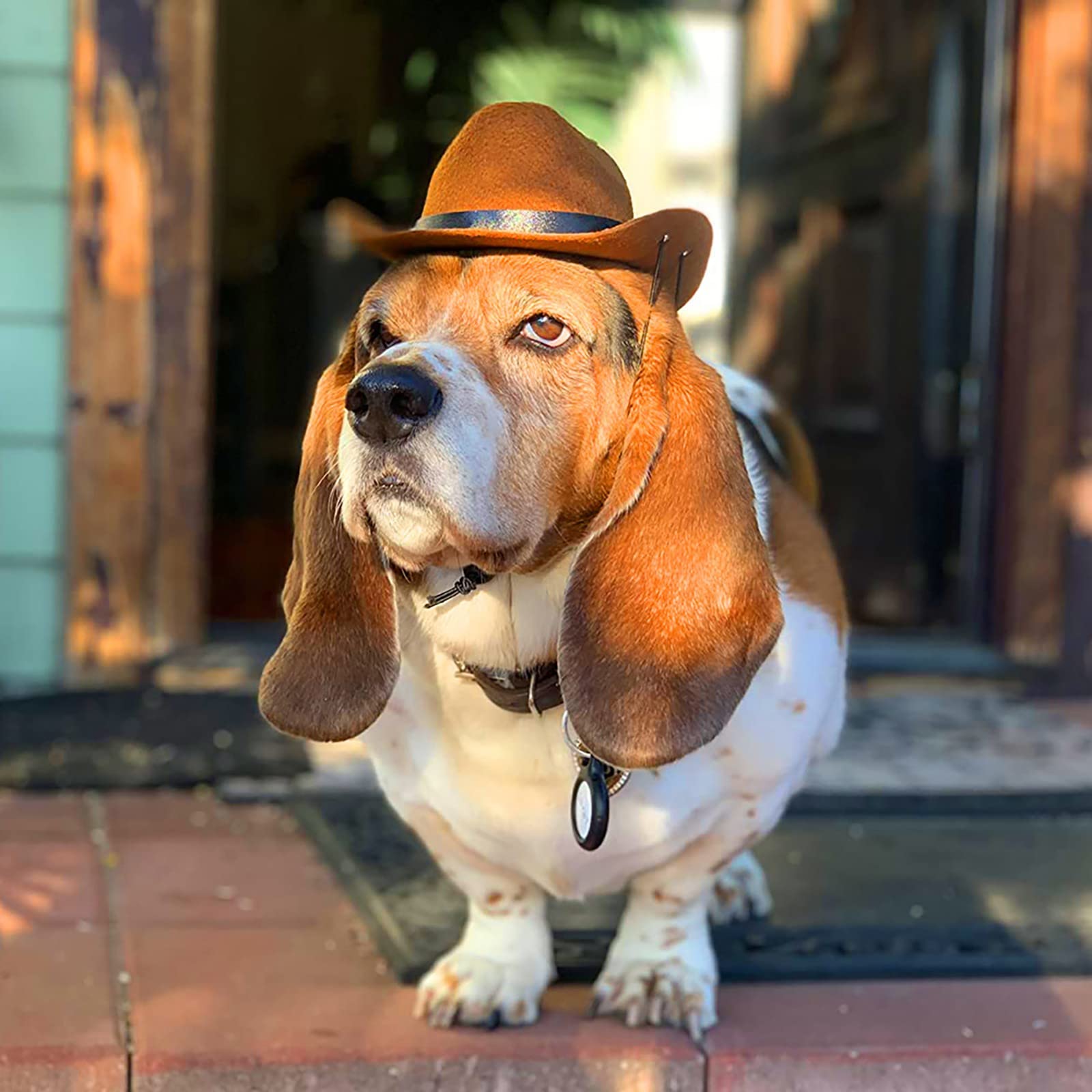 Sombrero de vaquero occidental con banda para la barbilla para mascota, sombrero divertido ajustable para perros y gatos, accesorios para mascotas