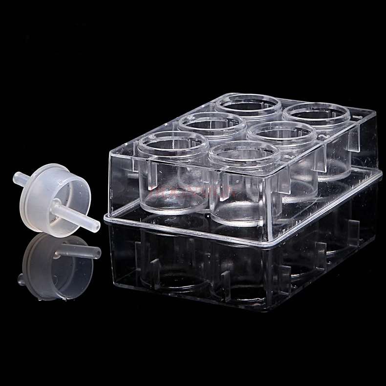 Plastbrøndplade 6 huller 6 huller porøs brøndplade kemisk undervisningsudstyr undervisningsinstrument