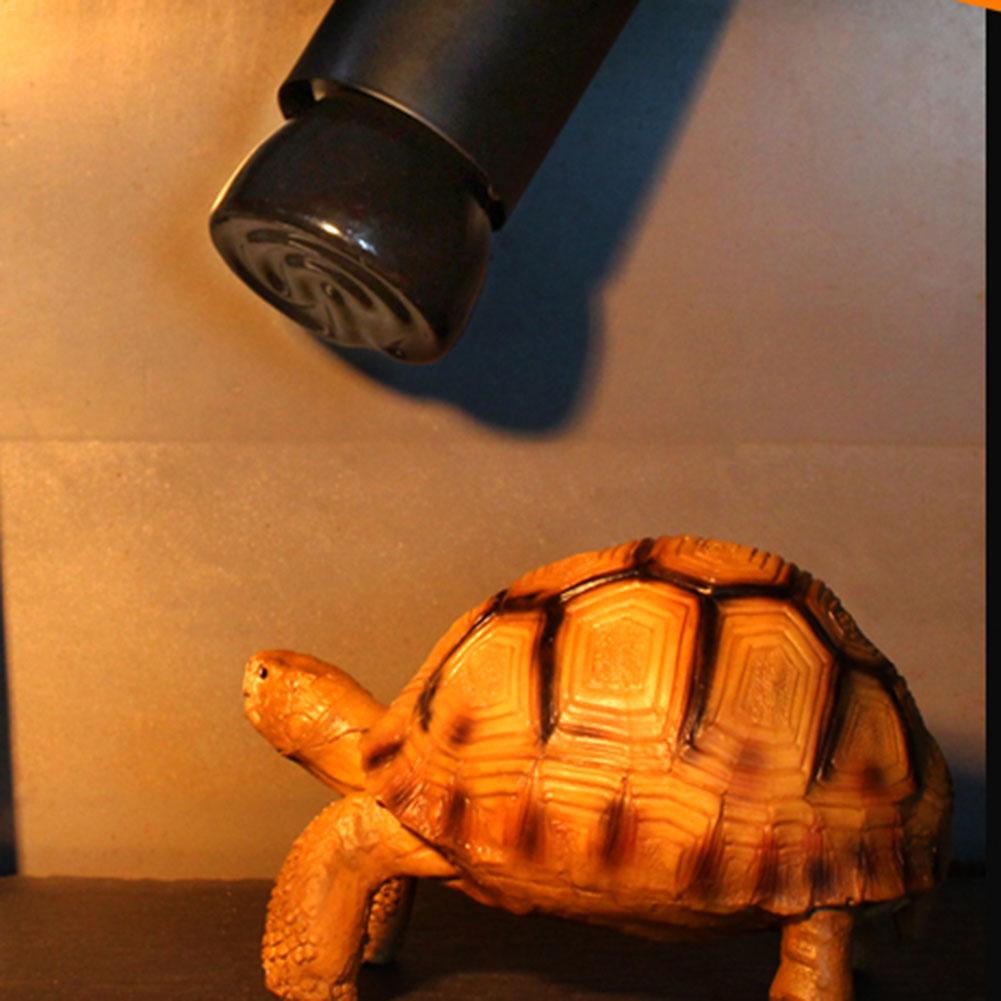 Fernen Infrarot Keramik Haustier Heizung Heizung Lampe Glühbirne Für Haustier Vogel Kaninchen Fisch Maus Grübler Inkubation Haustier Zubehör