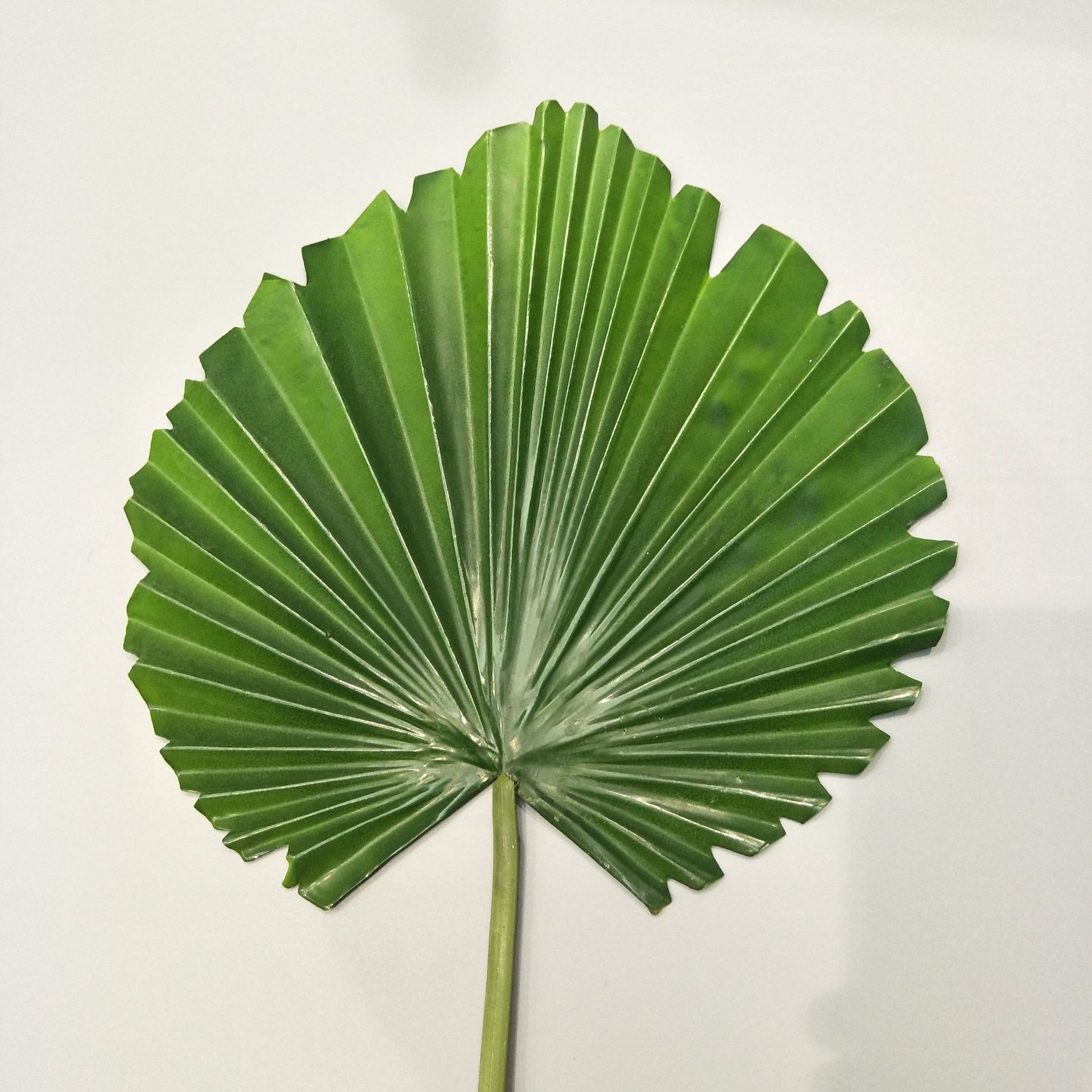 2pc grønne plante runde palmeblade, kunstige blade, tropiske bryllup boligindretning forsyninger