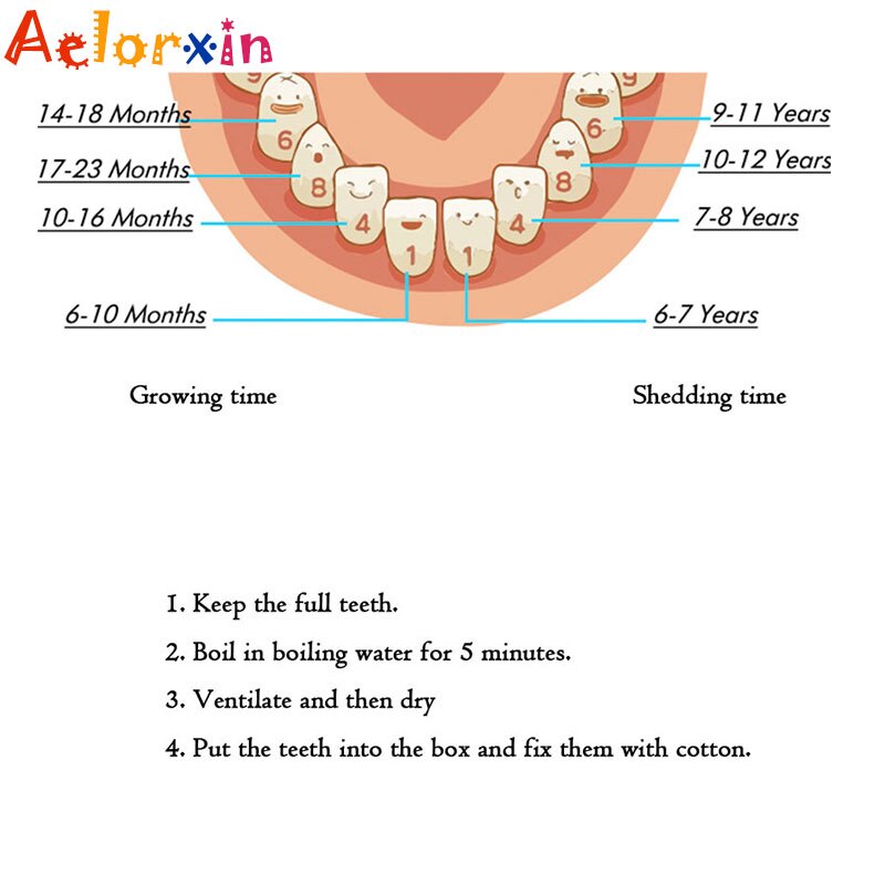 Engels/Spaans/Frans/Russisch/Italiaans Tand Baby Doos Houten Melk Tanden Doos In Spaans in-Engels Box Voor Baby