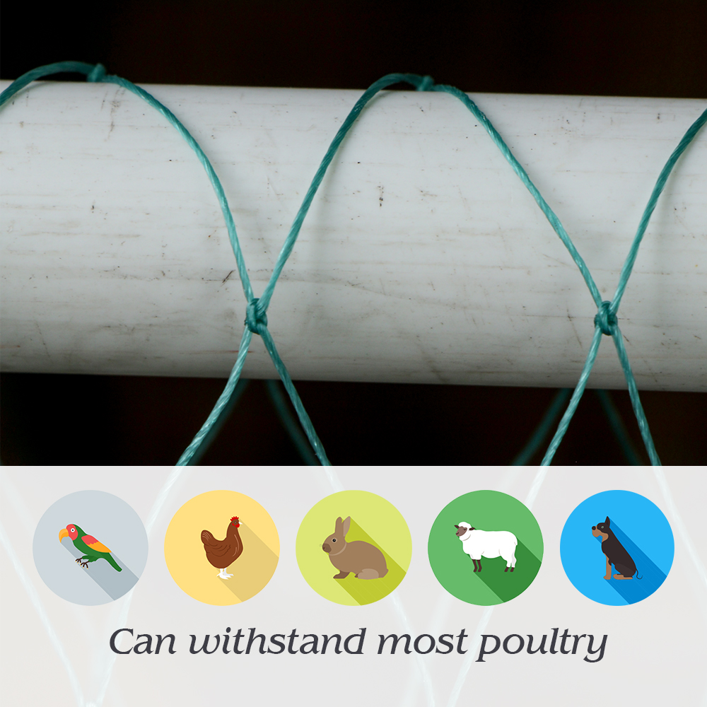 4x4cm Mesh Garden Nylon Anti Bird Netting 12 Strands Green Woven Mesh Outdoors Plant Pest Barrier for Prevent Deer Squirrel Fenc