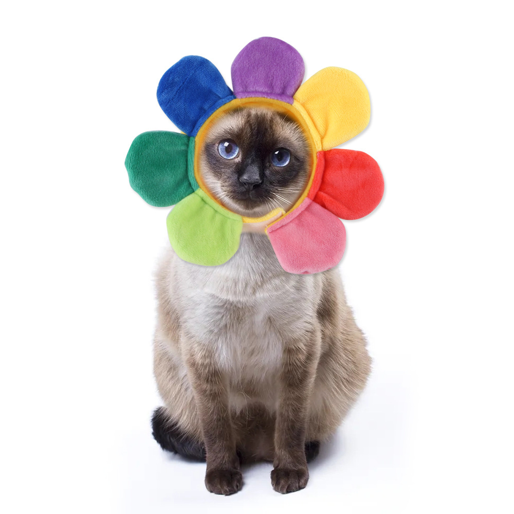 Gorro de gato refinado bonito, gorro elástico de felpa para invierno para mascotas, gorro tejido para cachorros y gatitos, accesorios de decoración para y Cosplay, accesorios para gatos para mascotas