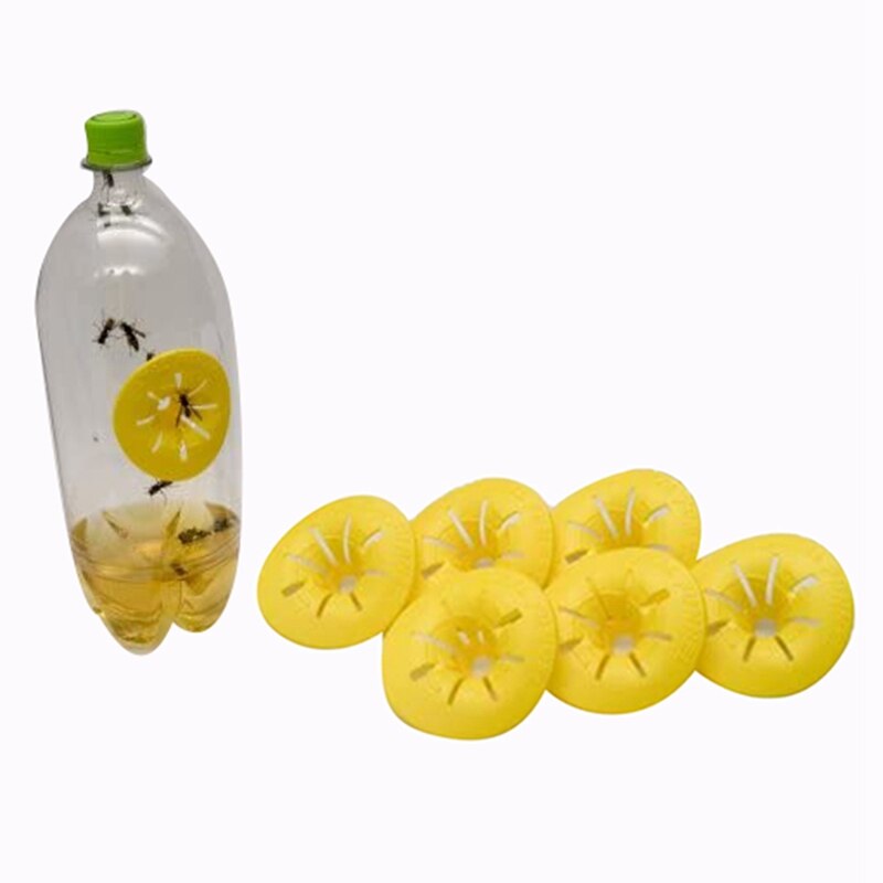 Trampa para abejas y tigres de Vespa 20 piezas Hornet, trampa para abejas, utensilios para Herramientas de apicultura, Hornet de cosecha