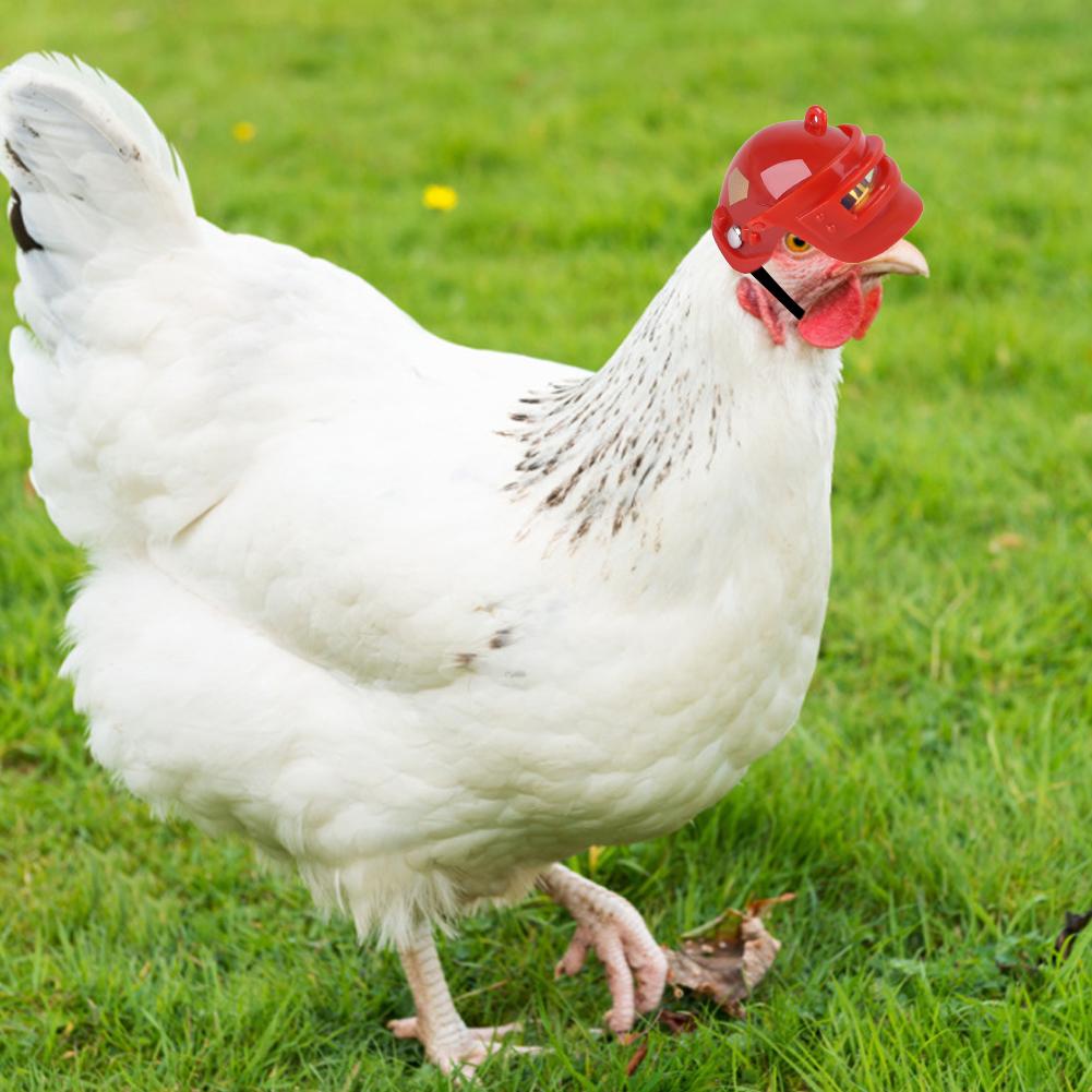 Pet Helmet Funny Chicken Helmet Head Protection Compact Chicken Hen Hard Hat