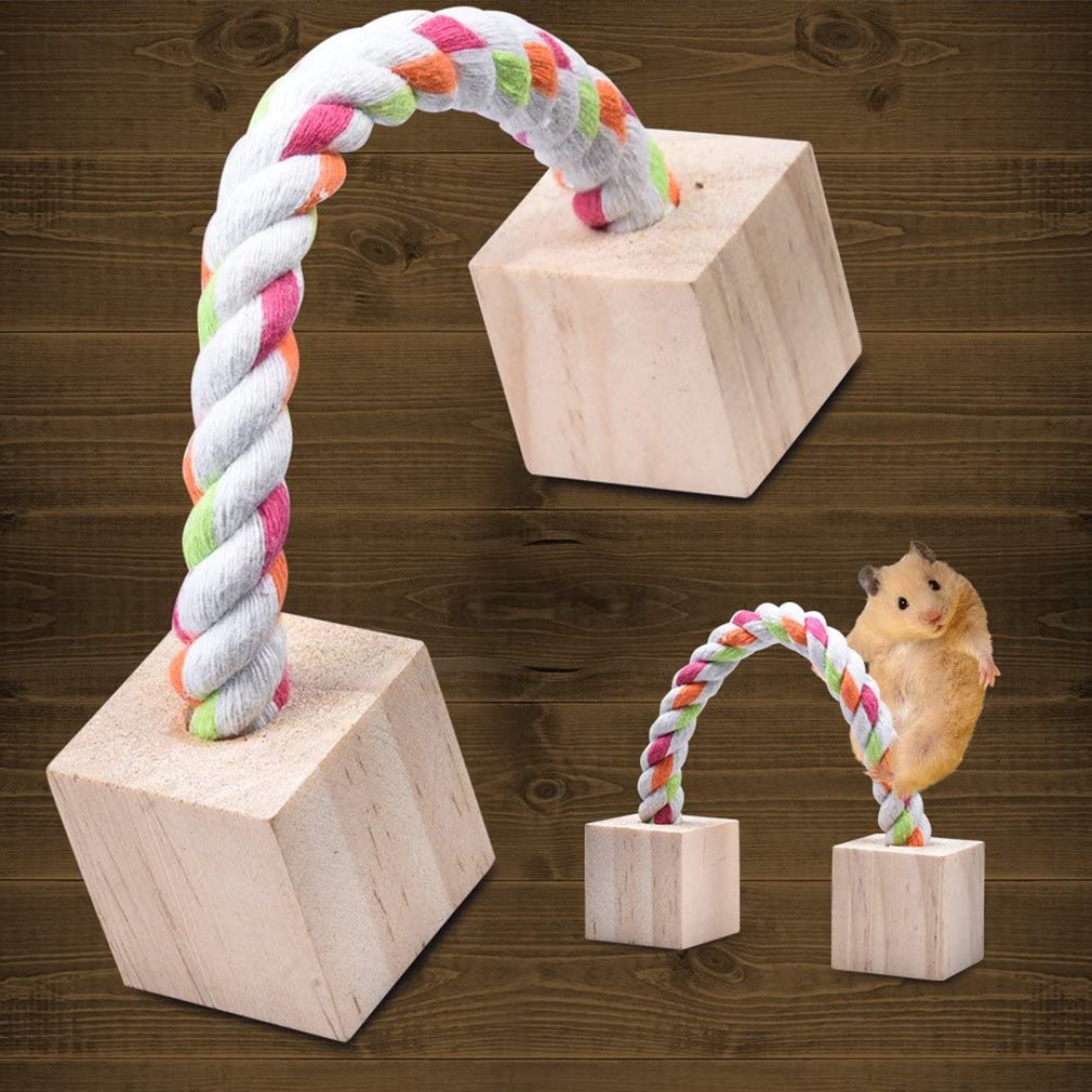 5pcs Amusing Pet Accessories Wooden Care Safe Smal... – Vicedeal - Hamster Safe Decorative Items