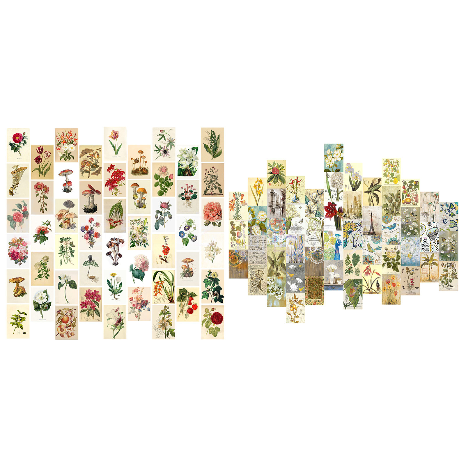 50 Stuks Vintage Botanische Muur Collage Kit Esthetische Fabriek Foto &#39;S Voor Muur Collage Print Kamer Decoraties Wall Art Poster Foto &#39;S