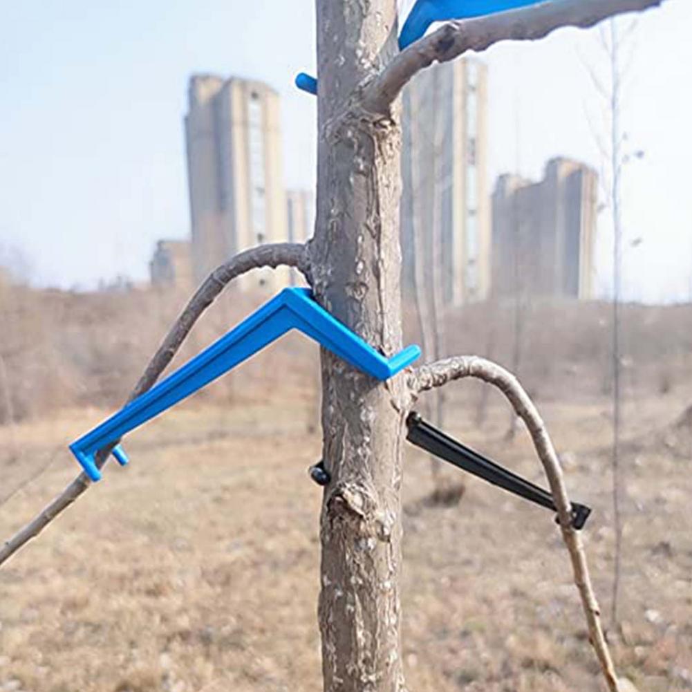 Fruit Branch Spreader Tree Branch Support Frame Support The Growth Of Branches Branch Support For Garden Gandening Tool