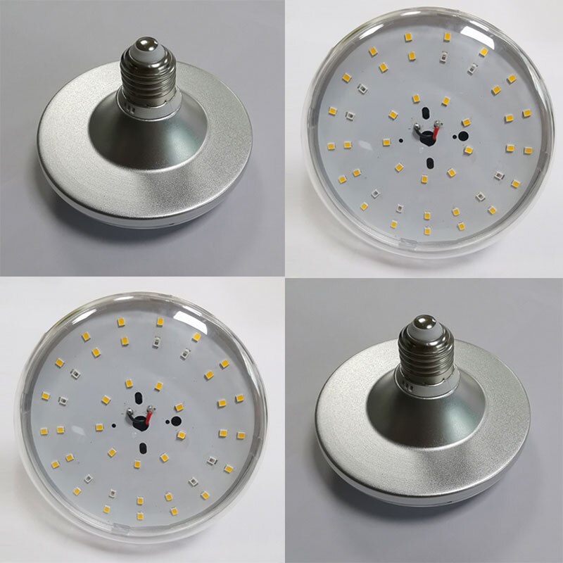 Dragon fruit fill light plant light plant growth light plant fill light