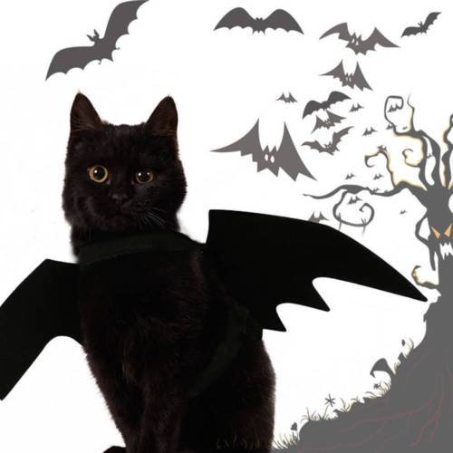 Disfraces de Halloween para perro, alas de murciélago, vampiro, negro, disfraz de perro o gato