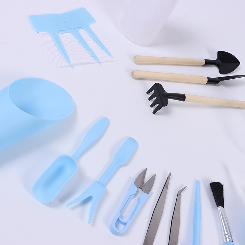 16 pièces succulentes outils de transplantation combinaison de fleurs emballage Mini fournitures de jardinage outils de viande en pot outils de jardin