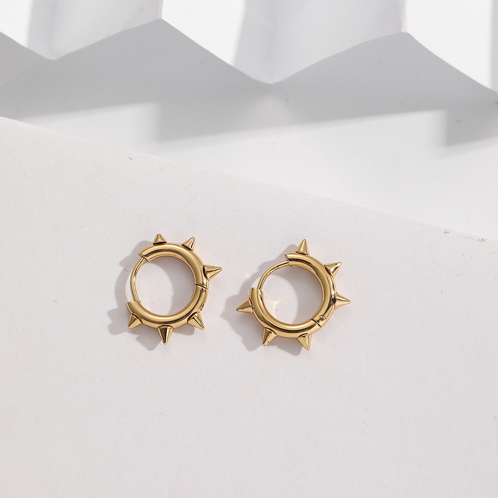 BenS-pendientes de acero inoxidable para mujer, aretes de aro pequeños con corazón espinoso, huggies redondos, joyería de al por mayor E67: Rodio plateado