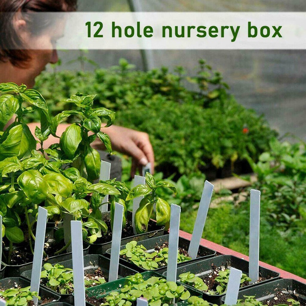 12 trous plante graine pousse boîte pépinière semis démarreur jardin cour plateau Germination chaude Propagation Clone démarreur Pad jardin