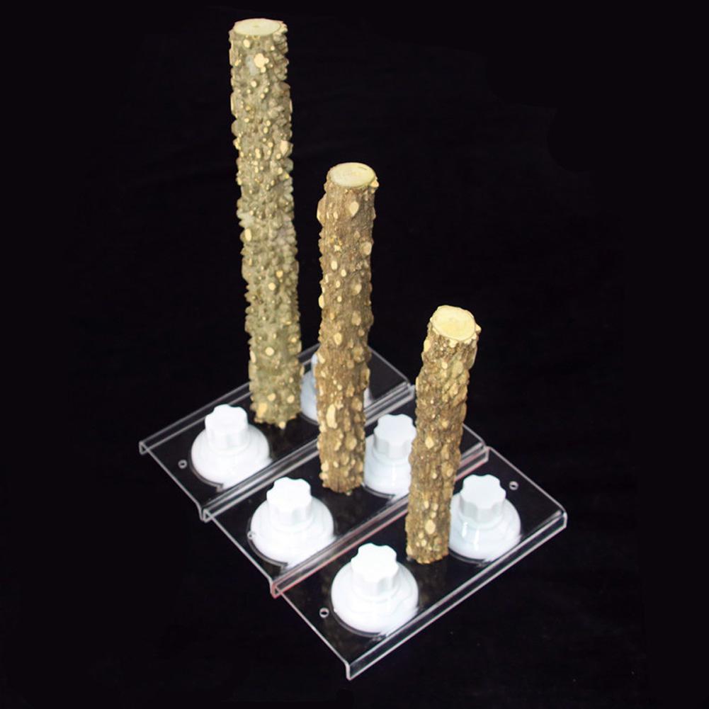 Palo de madera de pie para aves y loros, ventosa, barra de ducha, juguete de baño, suministro para mascotas