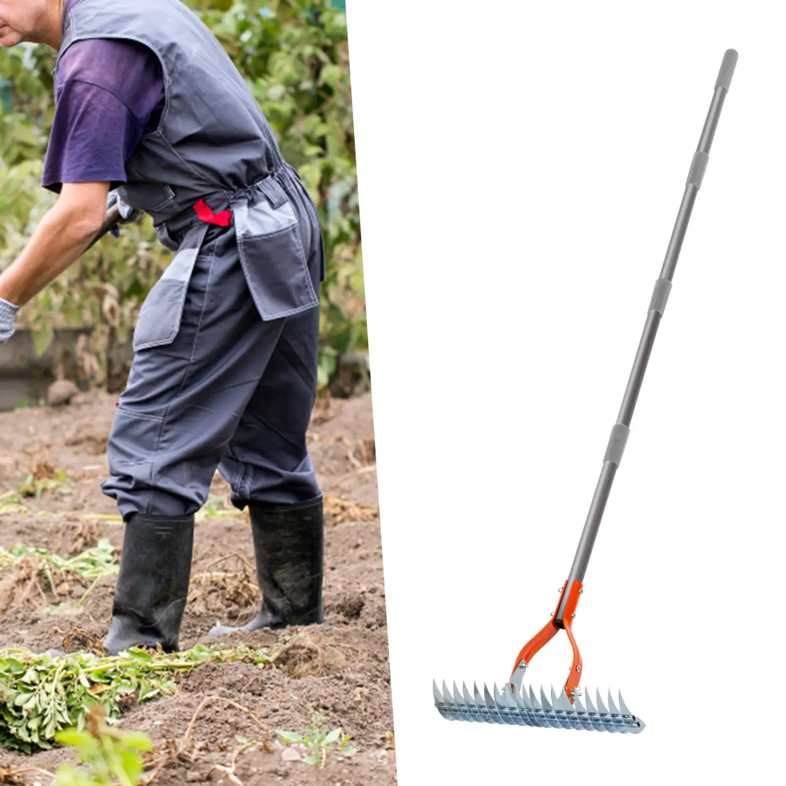 Gazon Rieten Hark Robuuste Dethatcher Hark Veelzijdige Gras Verzorgingshark Voor Het Schoonmaken Van Dood Gras, Tuin Tuin Tuin Duurzame Bodemhark