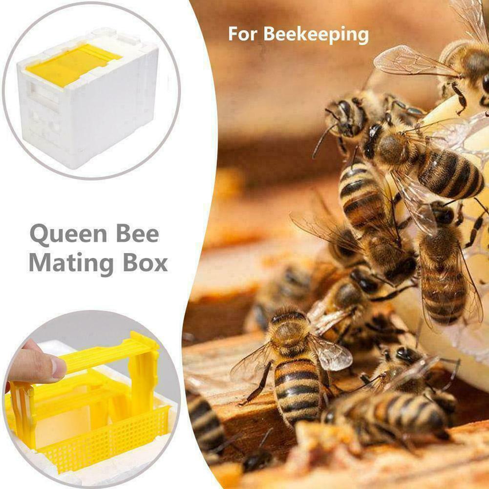 Caja de polinización King Box para apicultura, marcos de espuma, Kit de equipo de apicultura, caja de colmena de abejas para polinizador de jardín, apicultura