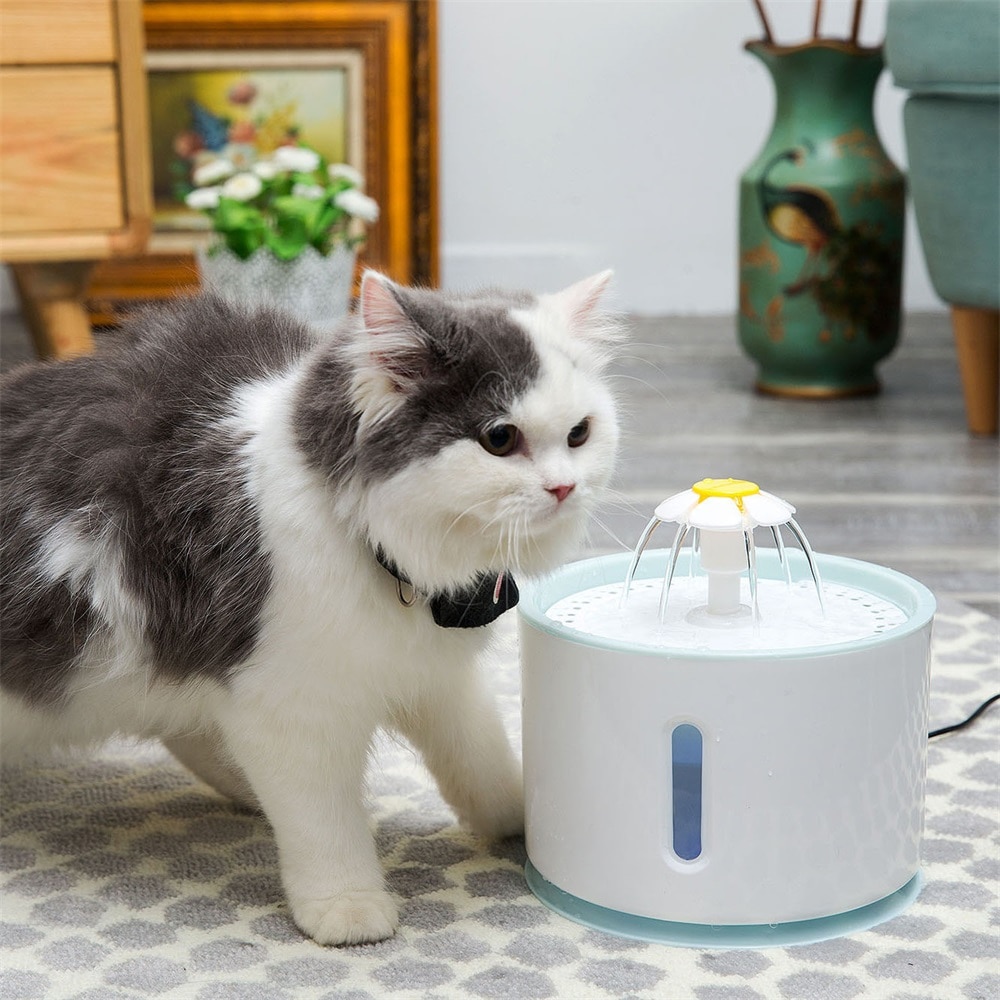 Grote drinkbak met veer, automatische waterfontein voor katten, waterdispenser voor katten, automatische voerbak, drinkfilter voor de zomer.