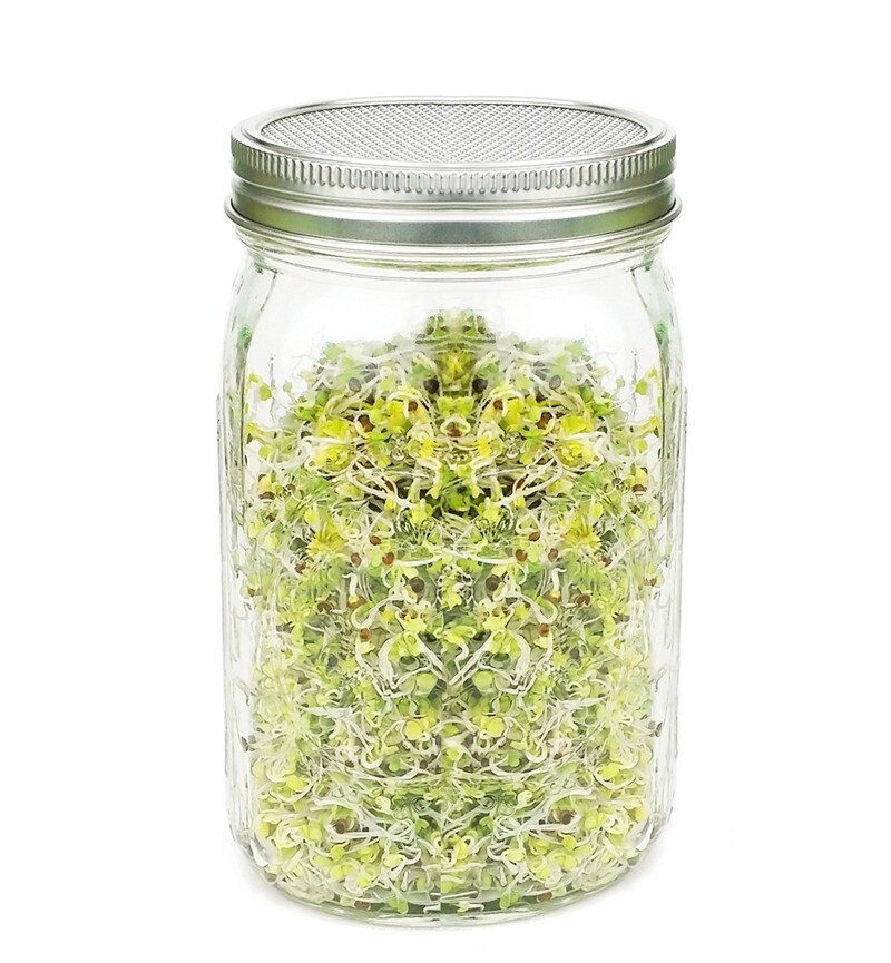 Juego de cubierta de germinación de semillas, juego de tarro de albañil de germinación con soporte, cubierta de filtro de acero inoxidable, tarro de albañil, 1Set