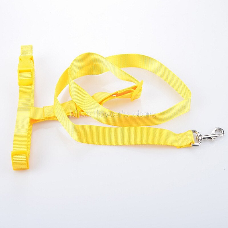 1 PCS Pet Hond Running Walking Jogging Verstelbare Handsfree Leash Taille Riem: Yellow