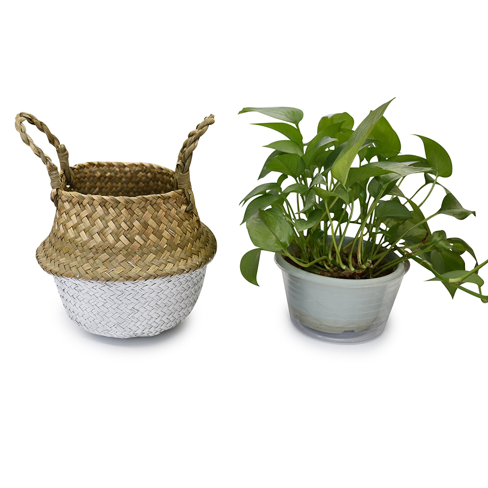 Handgemaakte rieten manden opvouwbare wasmand gevlochten opbergmand natuurlijke rotan zeegras tuin bloempot plantenbak mand wit