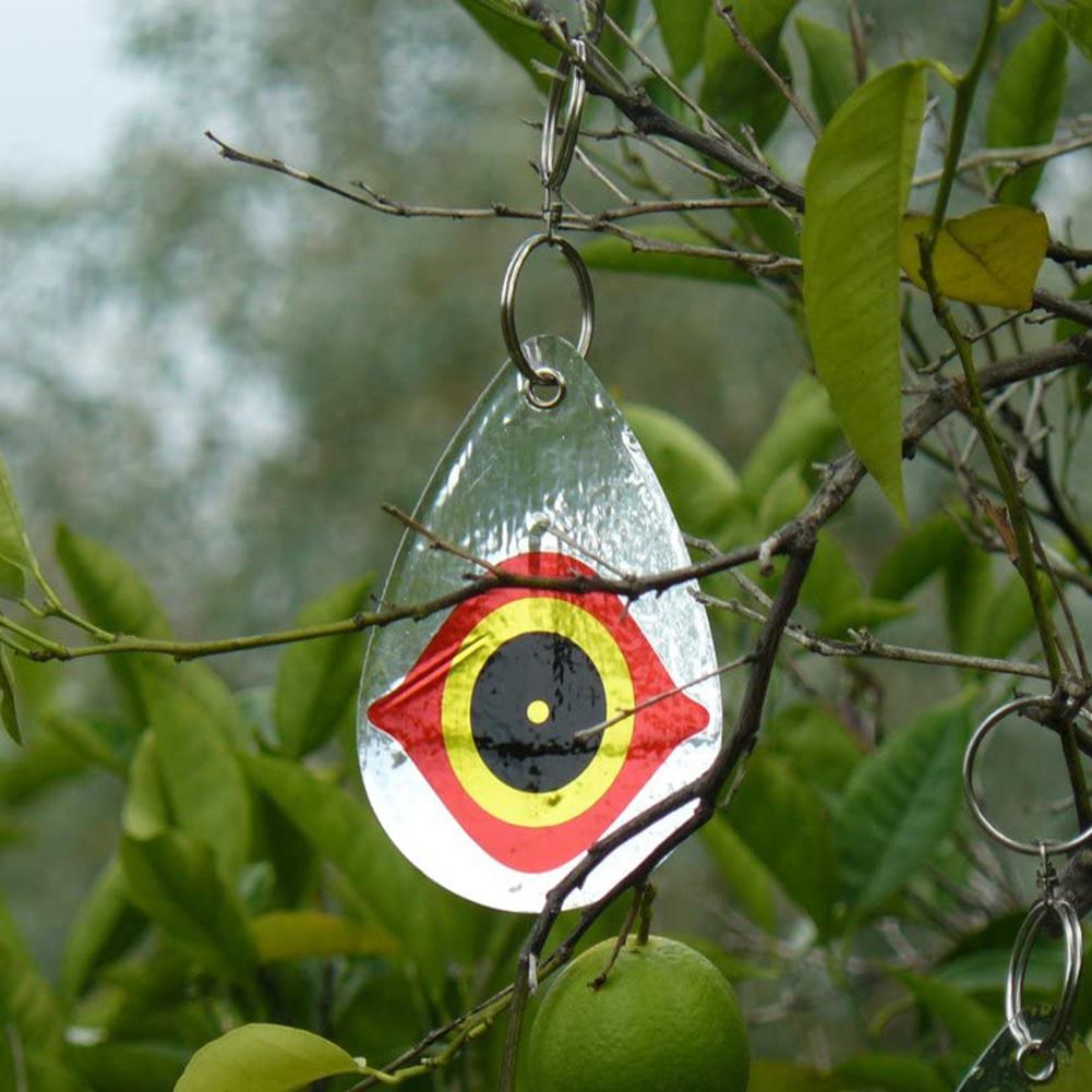 5 Pcs Garden Garden Bird Repellent Eyes Owl Eye Bird Repellent Reflective Bird Repellent Eyes Horror Eyes