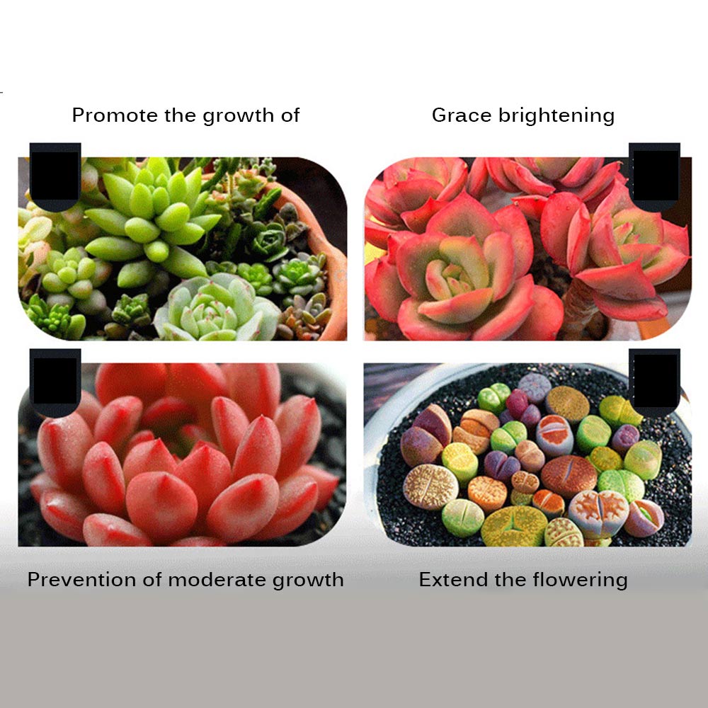 Single head plant fill light full spectrum led light angel ring spectrum led imitating sunlight plant growth light