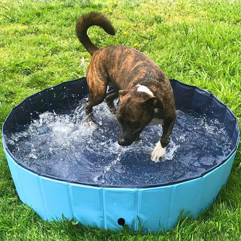 PVC Foldable Pet Cat Dog Swimming Pool PVC Washing Pond Dog Tub Bed Small Large Dog Swimming House Bed Summer Pool