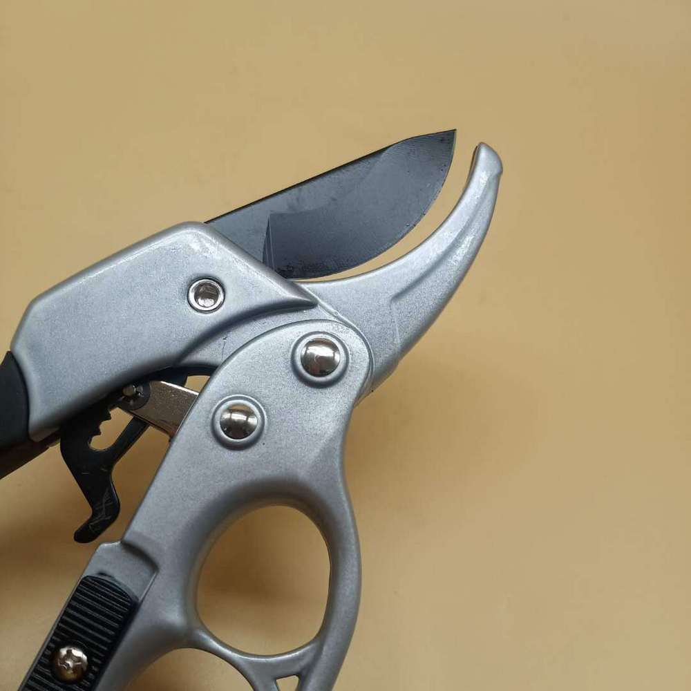 Ciseaux d'élagage de jardin ciseaux en acier à haute teneur en carbone outils de jardinage portables outils d'élagage pour élaguer les Branches d'arbres fruitiers