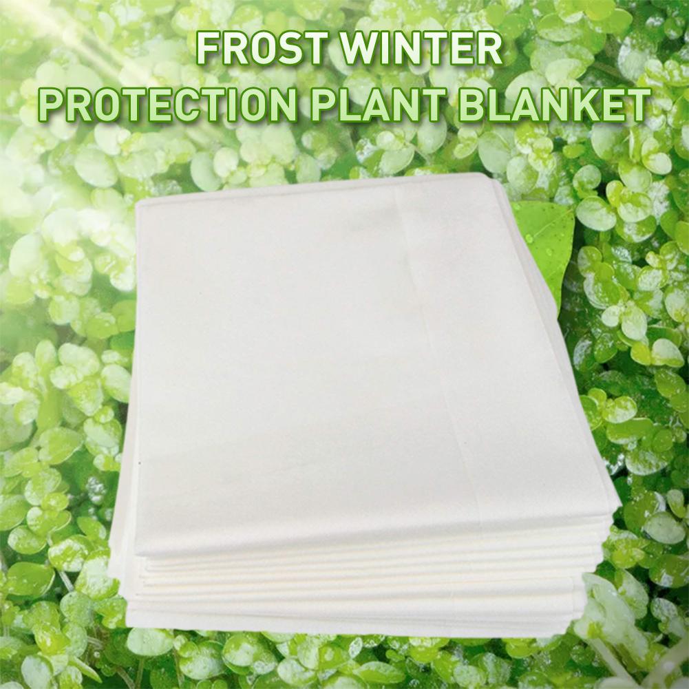 Ikke-vævet træbuskdæksel varm frostbeholder vinterplanteovertræk vokse taske stærk havehaven grøntsagsbeskyttelse