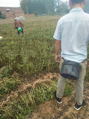 Tuin Foam Kruk Agrarische Werkbank Met Bewegende Krukken Veld Pier