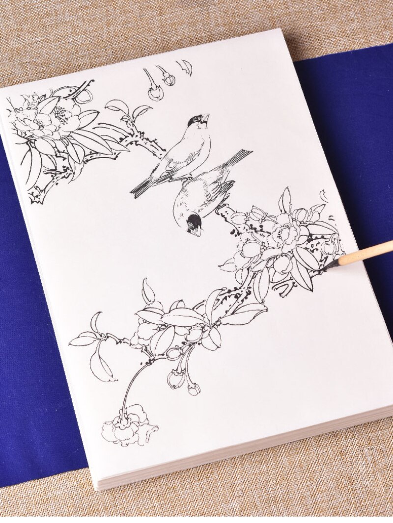 Line Drawing Tracing Paper Flower Bird Tracing Drawing Manuscript Beginner Ripe Xuan Paper Drawing Chinese Watercolor Painting