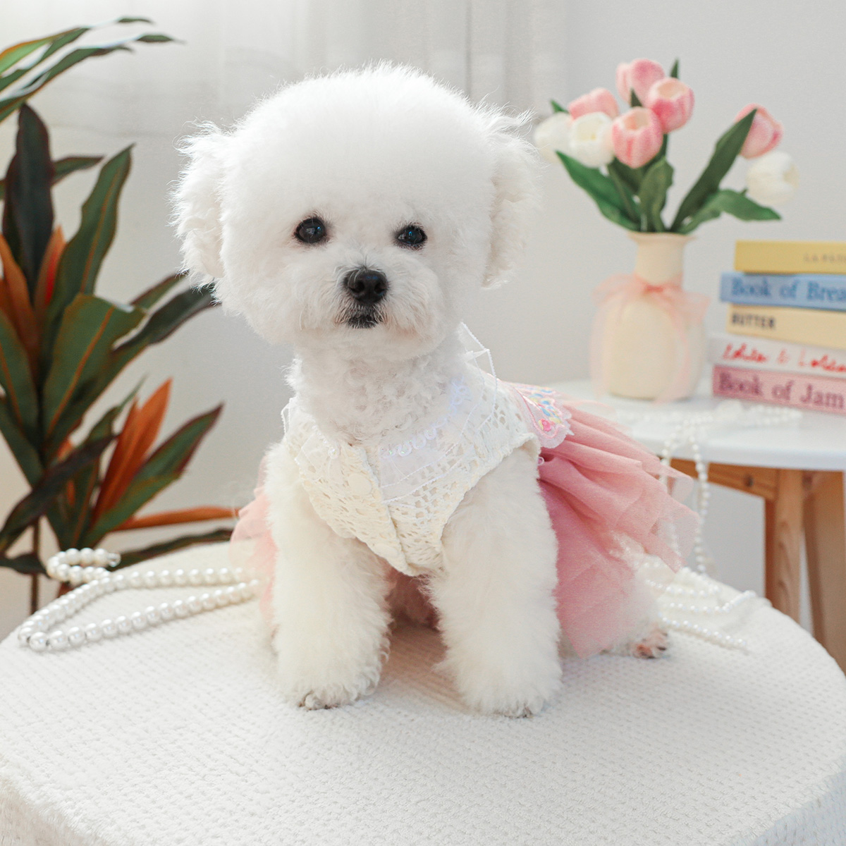 Vestido de gasa de Hada y mariposa, ropa para mascotas, perro, gato, verano, rosa, alas tridimensionales, vestido de princesa