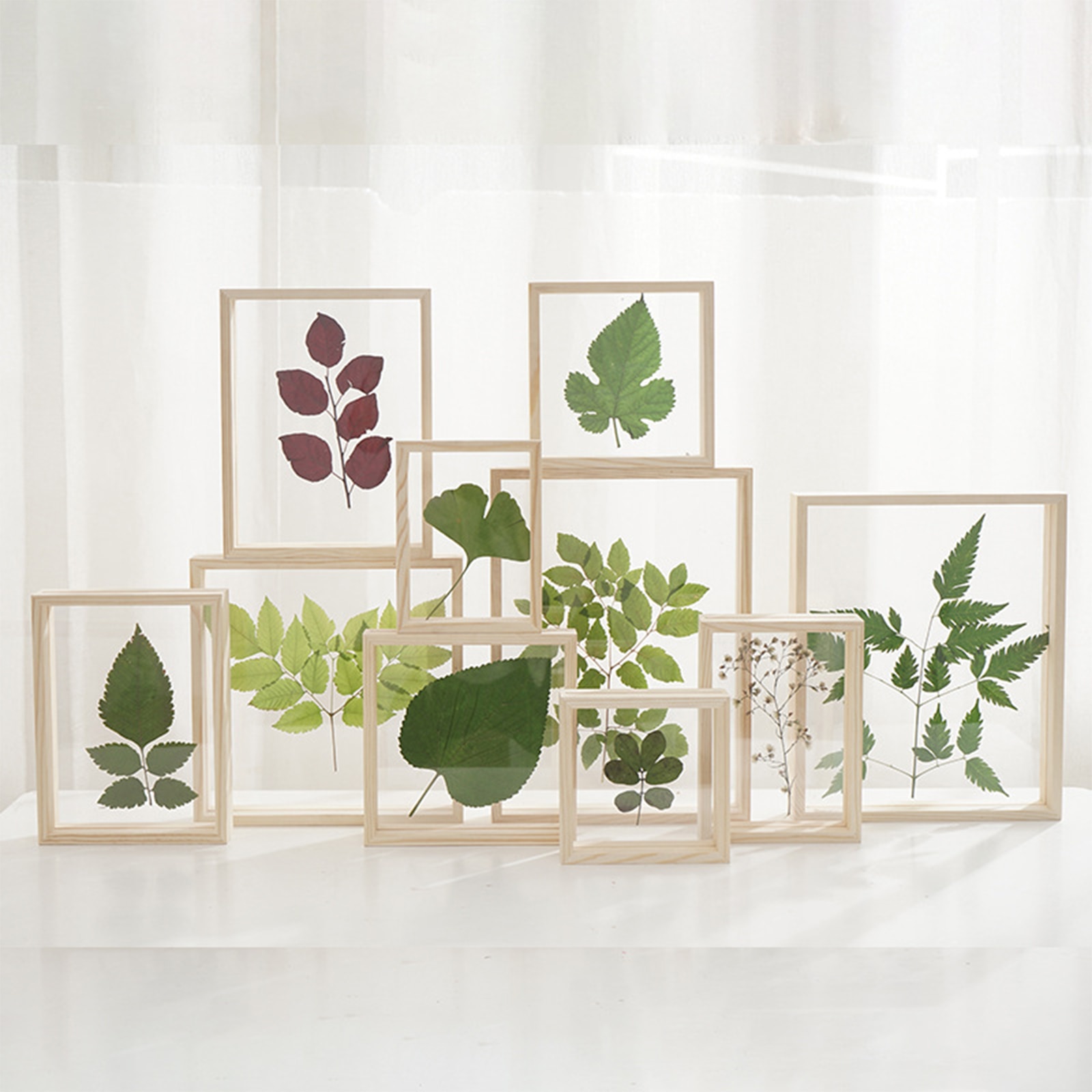 Wooden Photo Frame Double Sided Acrylic Specimen Frame Set-up for Home Business Place