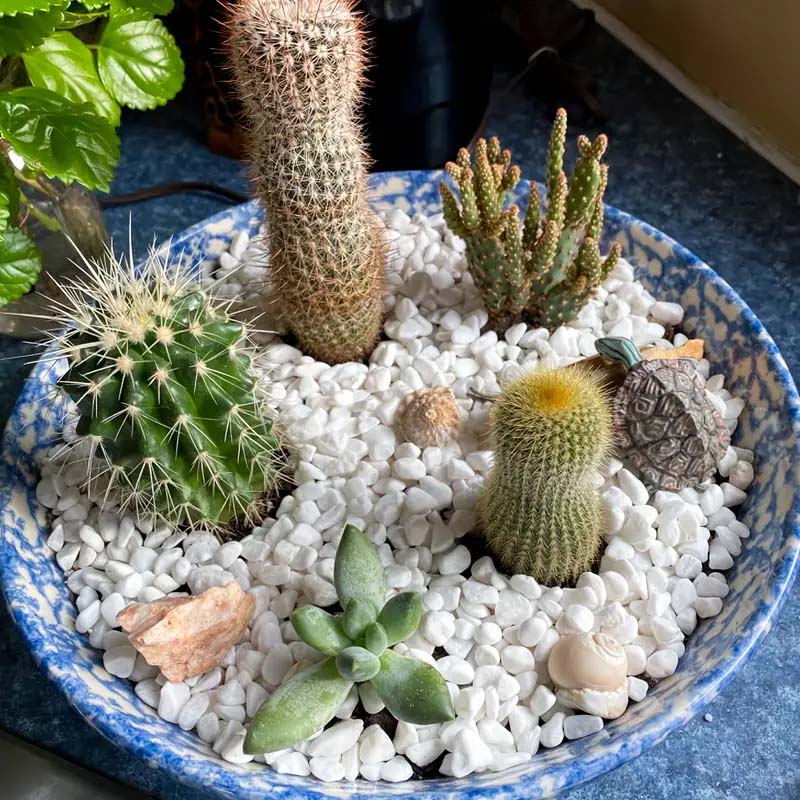 100/300/500g hvite småstein dekorative steiner for planter - naturlige elvesteiner for hagelandskap, sukkulenter og kaktusplanting