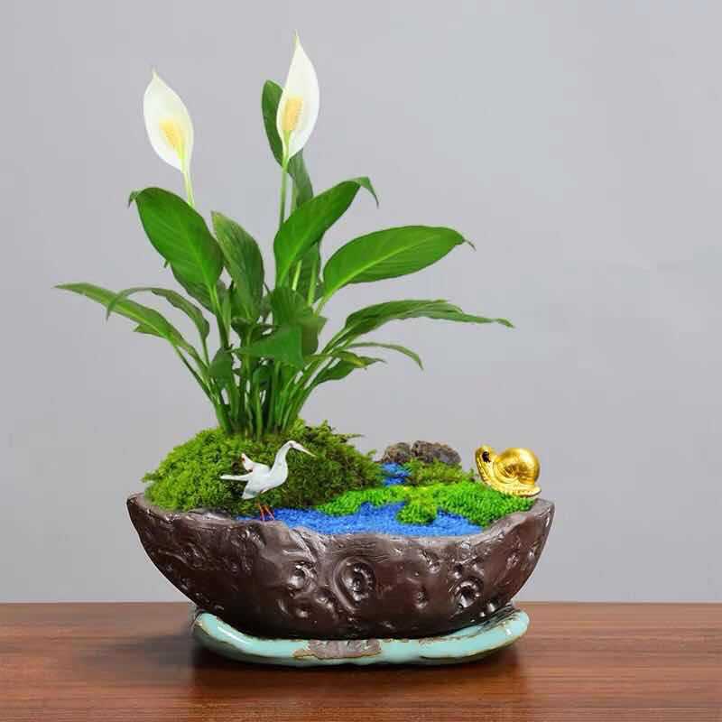 Desktop flower pot landscaping micro landscape bonsai pot ceramic painting gold black pottery pot bamboo planting pot