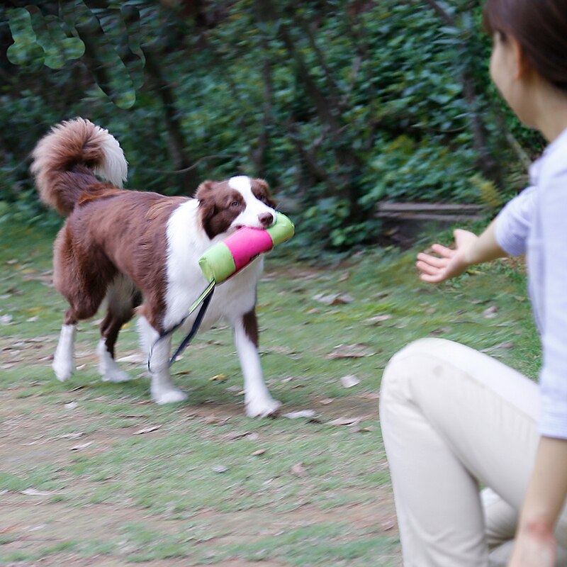 Kæledyr hund træning behandle snack agn hund lydighed smidighed udendørs pose madpose hunde snackpose pakkepose