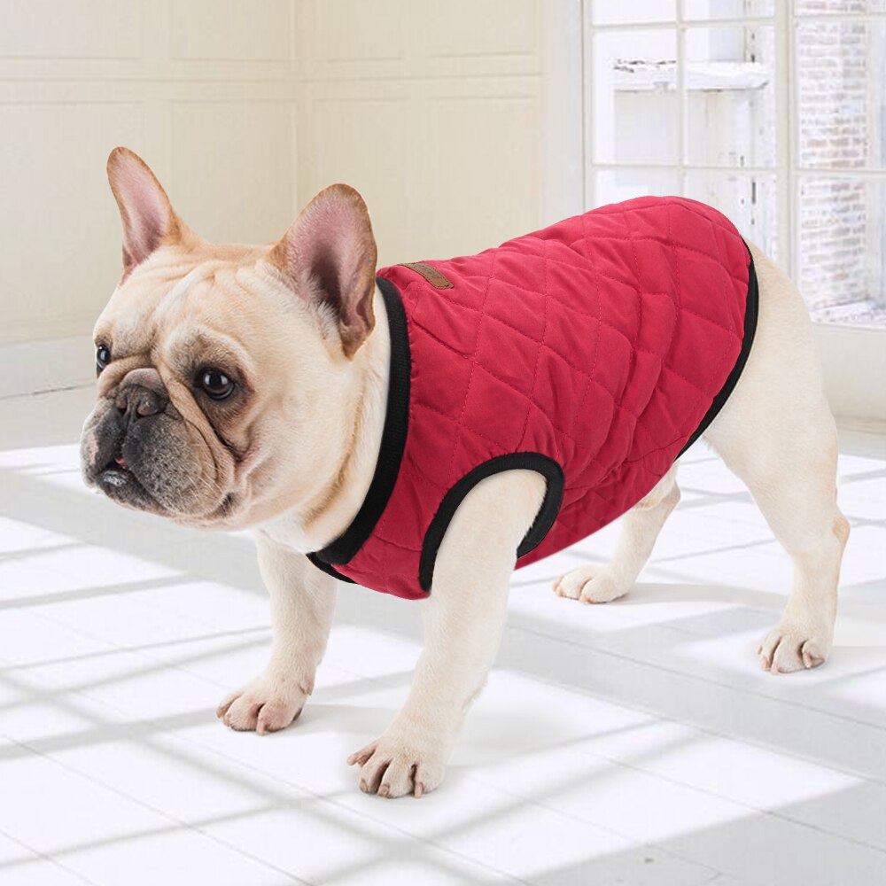 Hond Winter Kleding Franse Bulldog Jas Warm Puppy Kat Kleding Huisdier Kleding Hond Vest Outfit Voor Kleine Middelgrote Honden Chihuahu