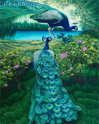 EverShine Painting By Numbers Animals Canvas Wall Set Paint By Numbers For Adults Peacocks Drawing Art: SZES-974
