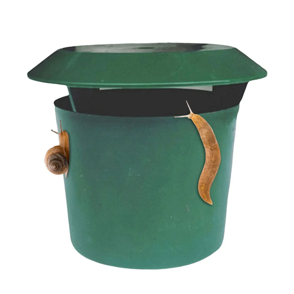Piège à escargots, Cage à limaces de jardin, antiparasitaires réutilisables, outils de Station d'appâts, outils de protection de ferme de jardin, accessoires de jardin, 2/4/12 pièces