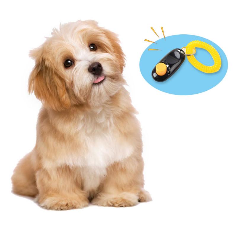 1 pc bonito animal de estimação gato cão treinamento clicker plástico novos cães clique trainer ajuda muito ajustável alça de pulso som chaveiro apito do cão