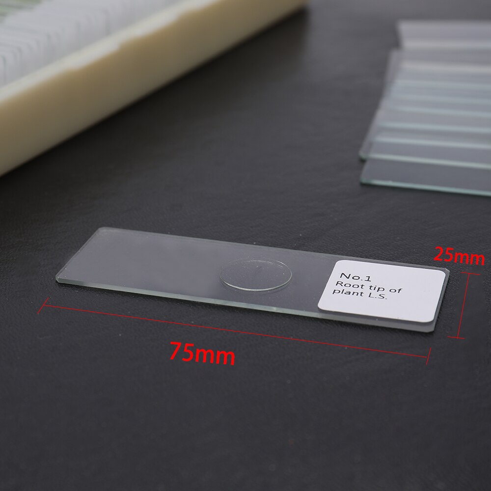 100Pcs Coverslips Glass Animal Plants Insects Glass Sample Science Specimen Cover Slips Microscope Slides Parts and Accessories