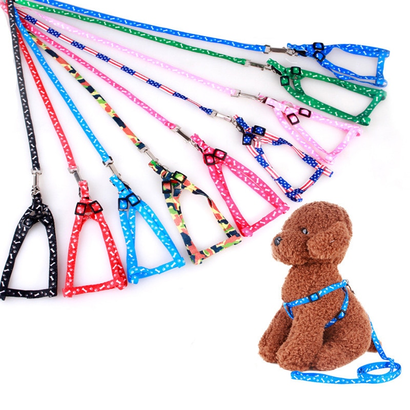 Verstelbare Nylon hondenriem en harnas set voor kleine honden kleurrijke gedrukt hond borstband trekkabel voor huisdieren leash riem