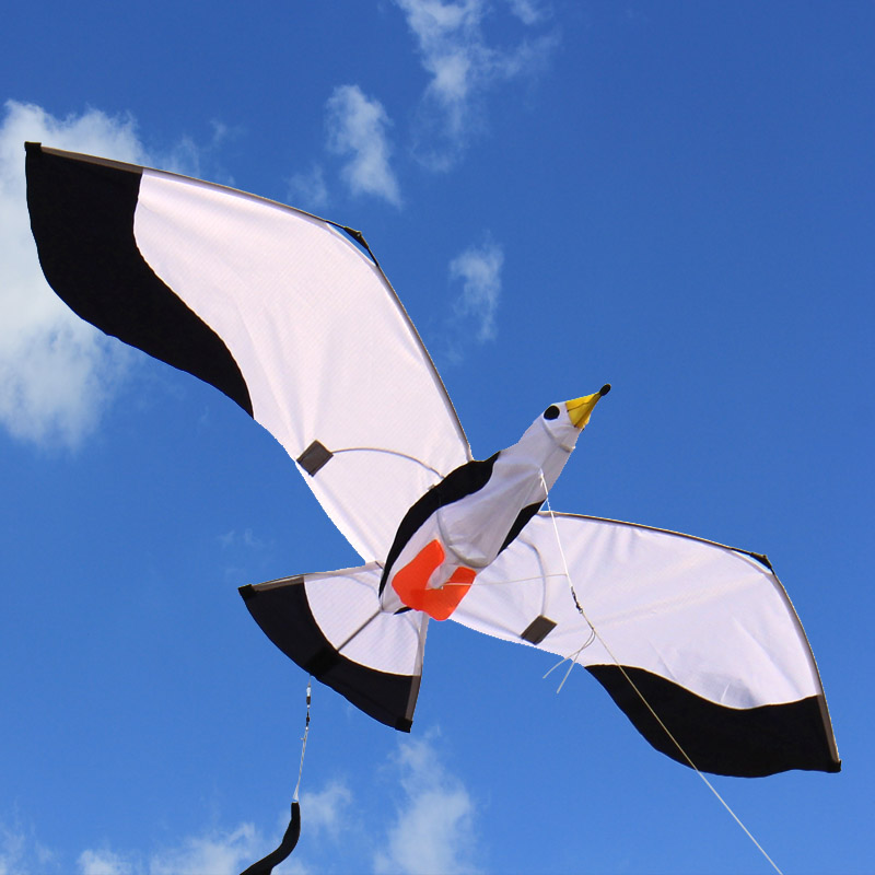 3D Enkele Lijn Seagull Vliegers Sport Strand Met Kite Handvat En String Makkelijk Te Vliegen