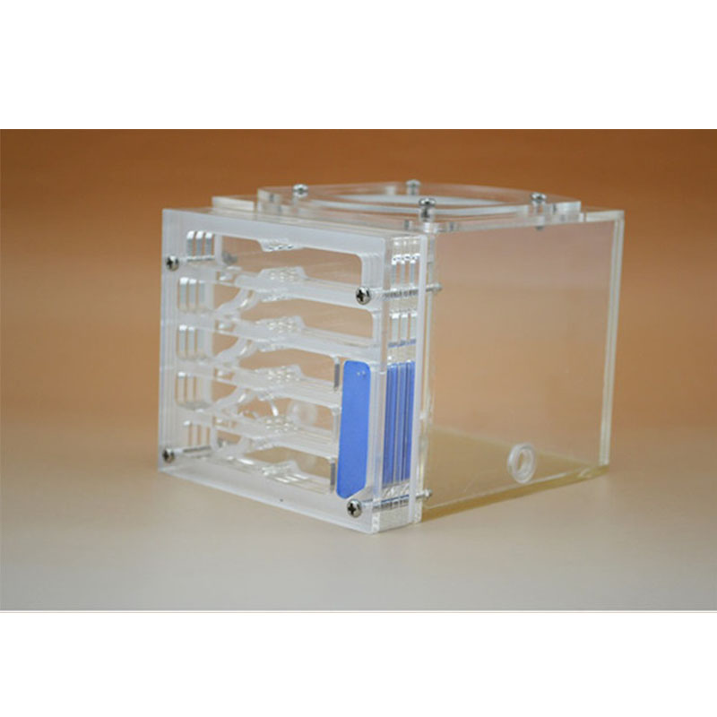 Moisture big space Bionic Plane Acrylic Ant Nest