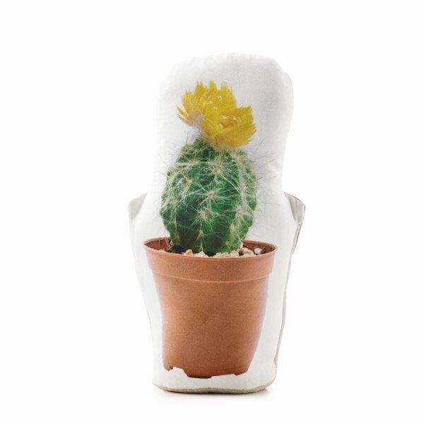 Wagon Trend Cactus Doorstop