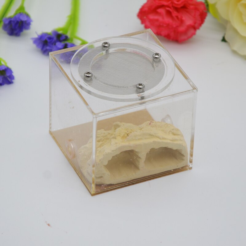 Imitation Ecological Ant Farm DIY Plaster Rockery Pet Ant Castle Landscaping Workshop Home Ants Farm House: SF-B005