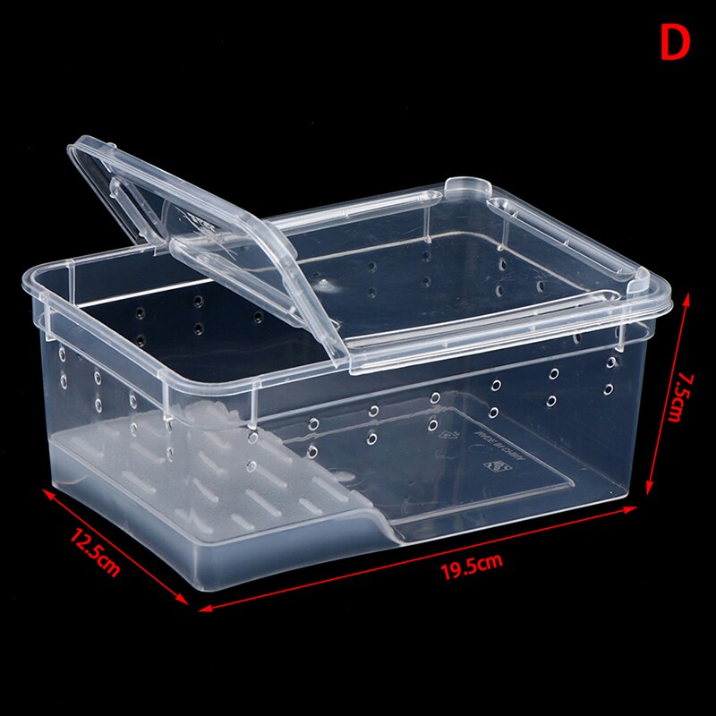Reptile Tank Insect Spiders Tortoise Lizard Acrylic Transparent Breeding Box Vivarium Lid Reptile Pet Product Terrarium: D