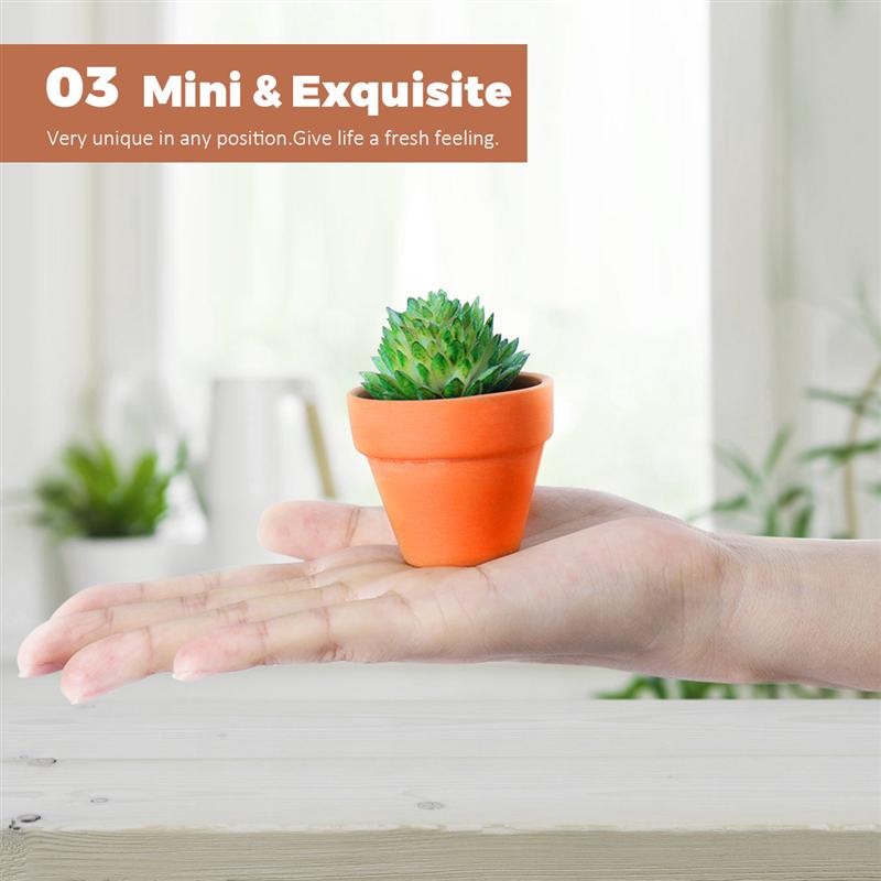 Maceta pequeña de terracota para 20 piezas, cerámica, Cactus, macetas suculentas para guardería, ideal para plantas y manualidades