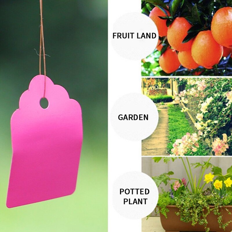 Coloré Étiquettes De Plantes Pépinière Étiquette pendaison arbre Marqueurs semis plantent des arbres fruitiers signes rapide carte outil de classement